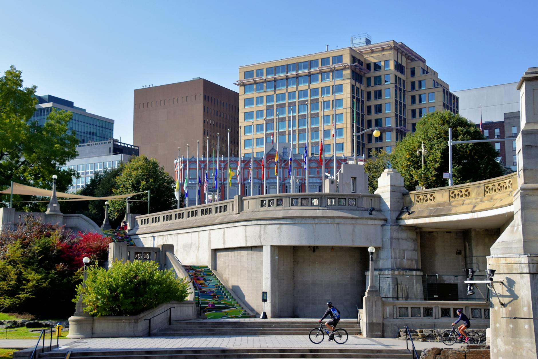Cycling for a Better Ottawa: Shared Roads, Safe Streets, and Sustainable City Planning